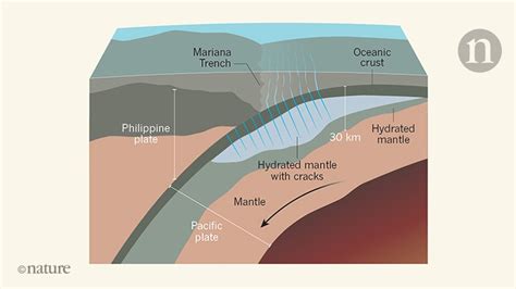 Water takes a deep dive into an oceanic tectonic plate