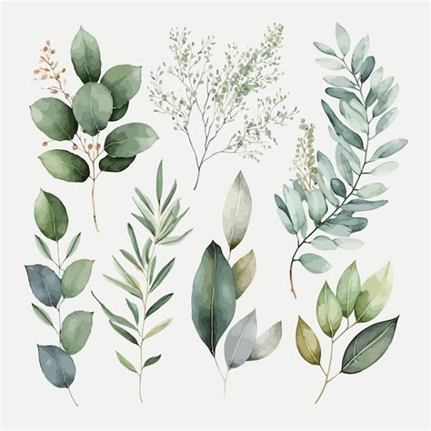 Premium Vector | Watercolor floral illustration set green leaf branches ...