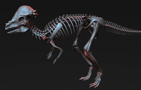 Pachycephalosaurus skeleton 3D - TurboSquid 1228777