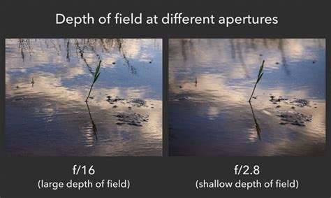 Understanding Aperture for Beginners - Photography Basics