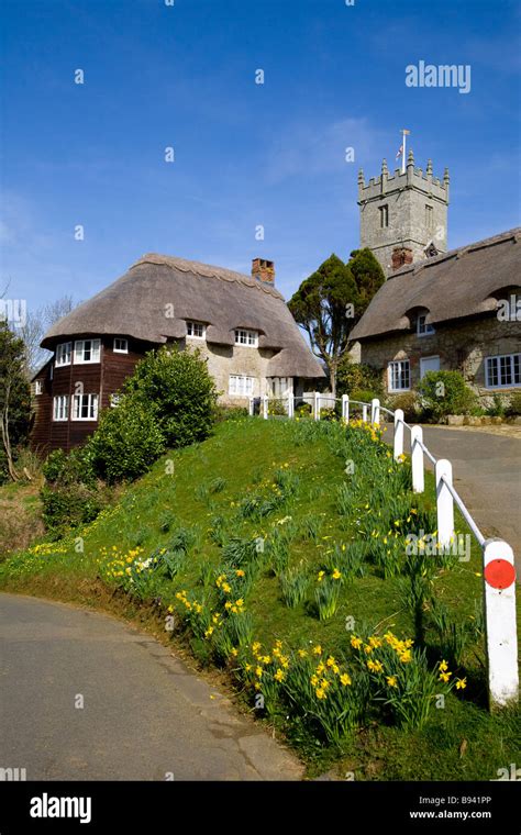 Flowers daffodils thatched cottages church Godshill Isle of Wight ...