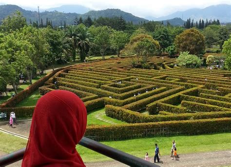 Menikmati Indahnya Warna Warni Bunga di Taman Bunga Nusantara ...