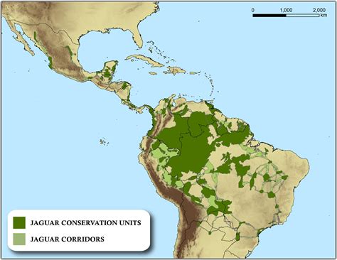 Jaguar Habitat Map