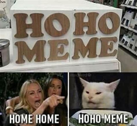 "Woman Yelling At Cat Meme" Is Still Going Strong (31 Memes)