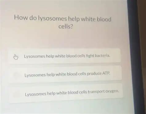 how do lysosomes help white blood cells? lysosomes help white blood ...