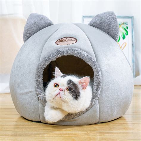 Cute cat house - Catpenter