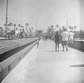 Category:Venice Fishing Pier - Wikimedia Commons