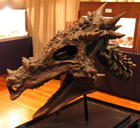 Dracorex hogwartsia | Fossils, Prehistoric animals, Prehistoric creatures