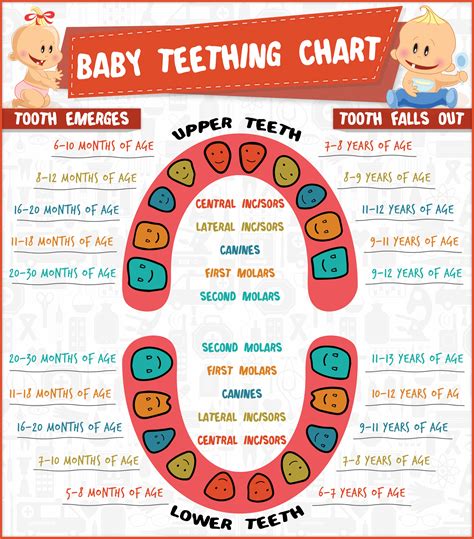 Teething And Your Baby: Symptoms And Remedies - Mamma Health | Baby ...