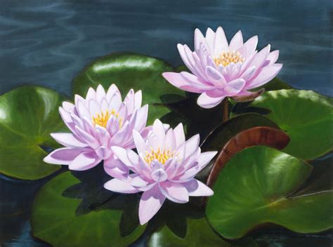 Pink Water Lilies - oil painting on canvas Painting by Elena Polozova ...