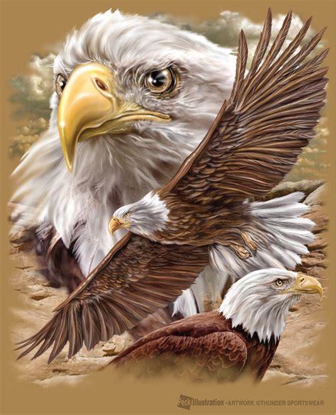 Realistic Eagle Drawing at GetDrawings | Free download