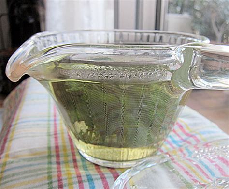 Fresh shiso leaf tea | JustHungry