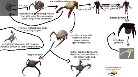 headcrab cycle of life : r/HalfLife