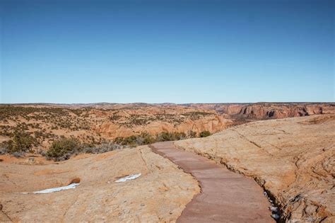 Navajo National Monument: Hike To Incredible Ruins And Beautiful Canyon ...