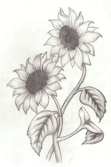 Easy Flowers to Draw