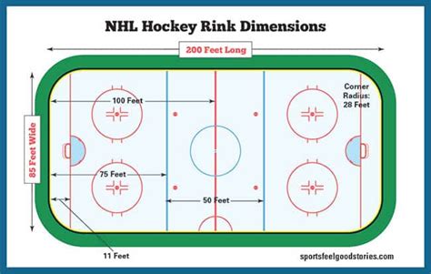 Hockey Rink Dimensions - NHL, Olympics, and International Size