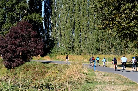 Delays on Sammamish River Trail in June – Biking Bis