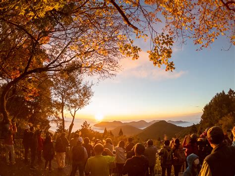 Taiwan’s Magical Forest - Get Me To Taiwan