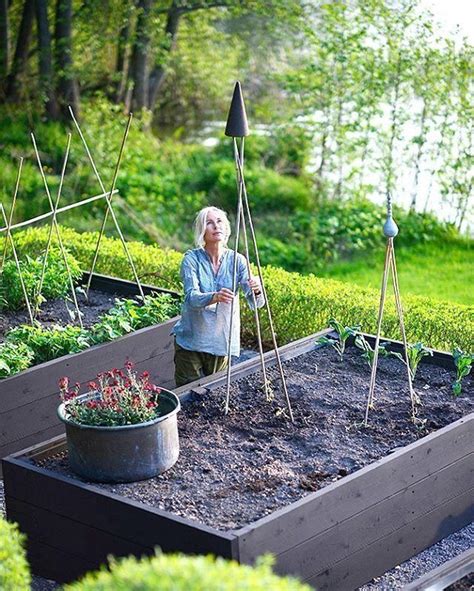 How To Plant A Three Sisters Garden | Vegetable garden design, Garden ...