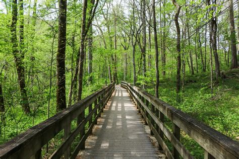 Mammoth Cave National Park, Kentucky - Travel. Experience. Live.