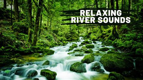 Relaxing River Sounds, Water Flow | Natural Peaceful Water Sound for ...