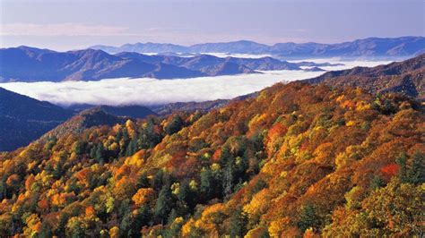 Great Smoky Mountains National Park Wallpapers - Wallpaper Cave