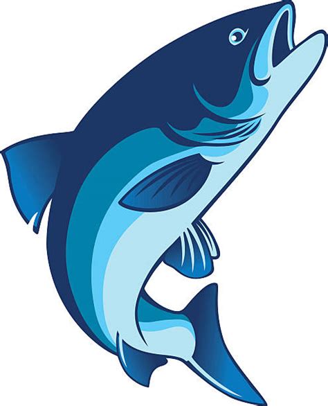 Redfish Illustrations, Royalty-Free Vector Graphics & Clip Art - iStock