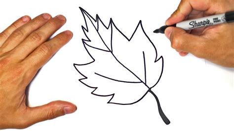 How to draw a Leaf for kids | Leaf Easy Draw Tutorial