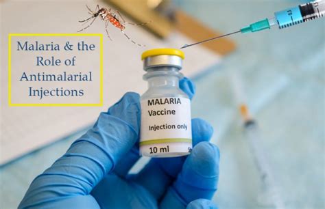 Let's Talk About Malaria & The Role Of Antimalarial Injections - Ciron ...