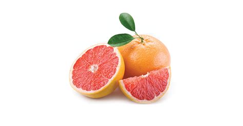 Florida grapefruit: getting small and then regrouping | The Packer