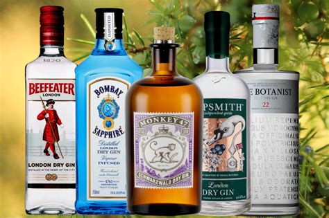 8 Incredible Gins For Complete Beginners | Drinks Geek