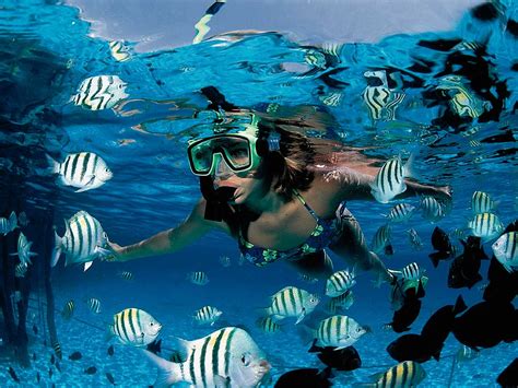 Arrecifes de coral en México para bucear y hacer snorkel