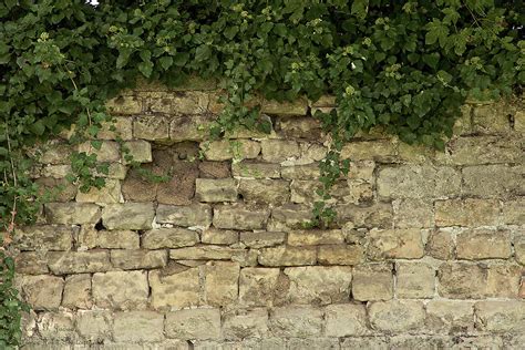 Romancing The Stone Photograph by Hany J - Fine Art America