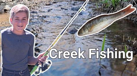 Creek Fishing - YouTube