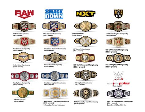 Mattel WWE NXT WWF Championship Champion Wrestling Belts Toy Figure ...