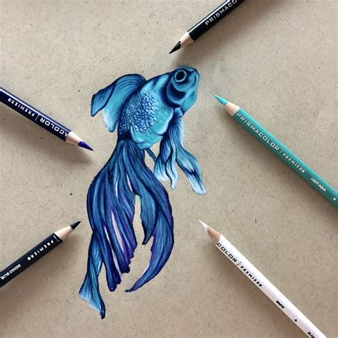 𝒻𝒾𝓈𝒽 | Prismacolor art, Colorful drawings, Colored pencil artwork