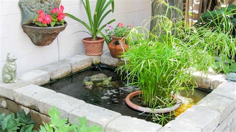 8 Charming Small Pond Ideas for Patios & Gardens