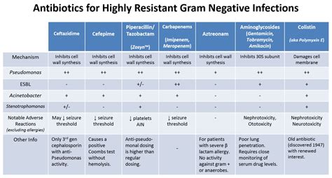 Gram positive vs gram negative antibiotic - lomiwired