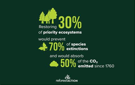 UN Decade on Ecosystem Restoration: understanding its challenges in ...