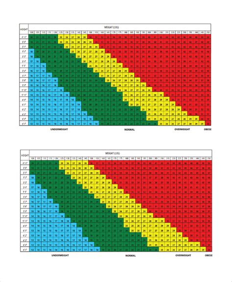 FREE 19+ Sample BMI Index Chart Templates in PDF | MS Word | Excel