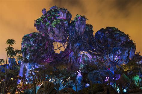 Pandora Ð The World of Avatar at Disney's Animal Kingdom at Night – You ...