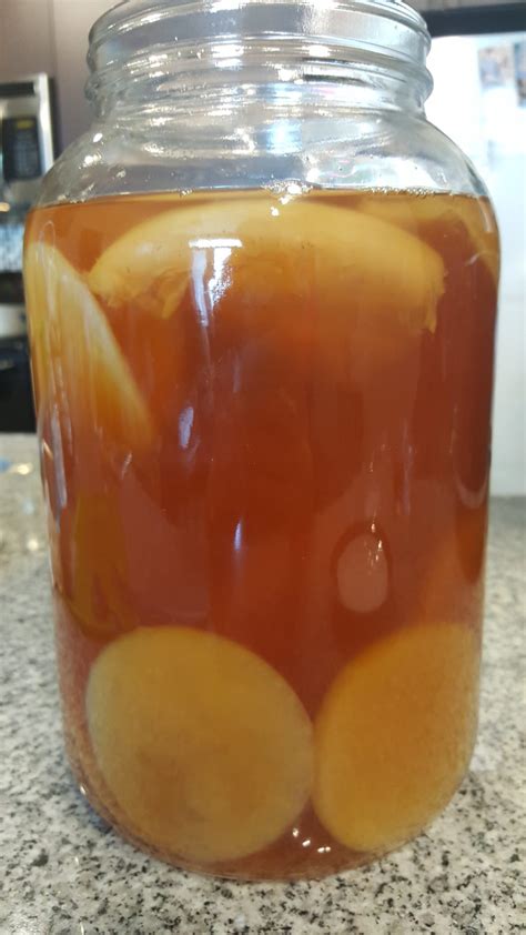 Kombucha SCOBY with 8 Ounces Starter Tea - Bucha Brewers