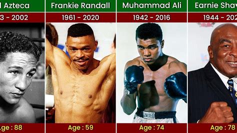 Famous Boxers Who Have Died - YouTube