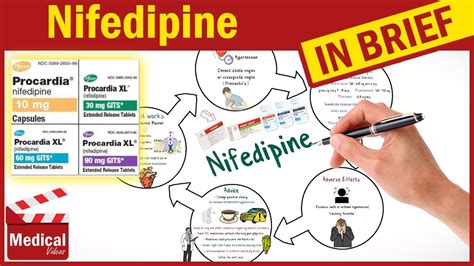 Nifedipine (Procardia): What Is Nifedipine Used For? Uses, Dose and ...