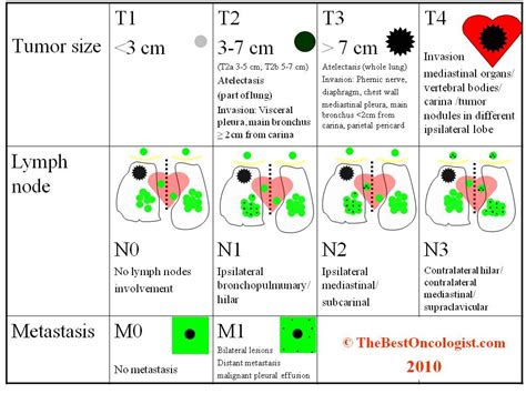 Staging of Lung Cancer- The Best Oncologist TM