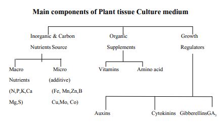 Micro And Macro Nutrients In Plant Tissue Culture | nutrienkarbo