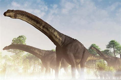 Dinosaur found in Argentina may be largest land animal ever : r/argentina