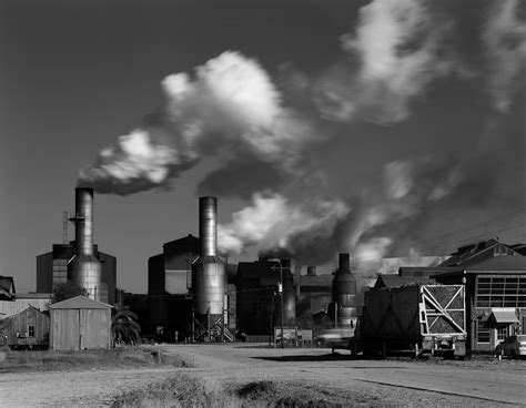 Sugar Growning and Processing in Louisiana