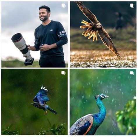 25 Most Influential Bird Photographers To Follow In 2023 ...