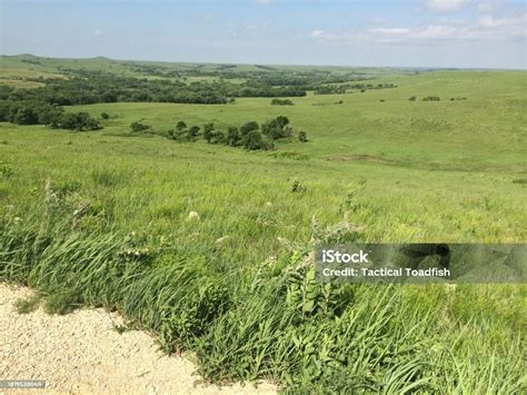 View Of Green Grass And Meadows Hiking At Konza Prairie Nature Trails ...